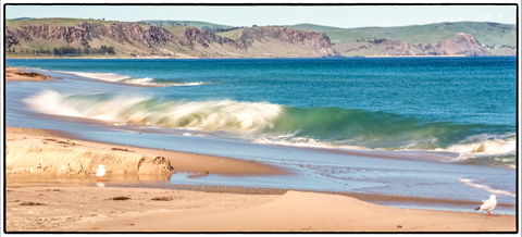 Starfish Hill Windfarm - Attractions 0