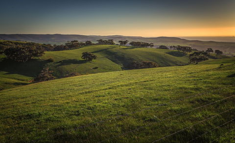 Starfish Hill Windfarm - Attractions 1