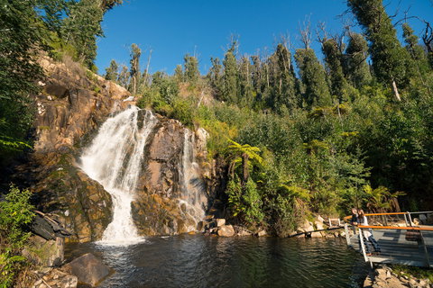 Steavenson Falls - Attractions Las Vegas 1