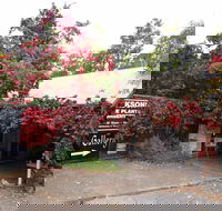 The Gallery Mt Macedon - Attractions