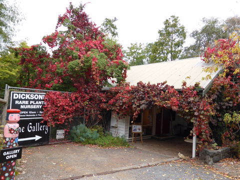 The Gallery Mt Macedon - Attractions 0