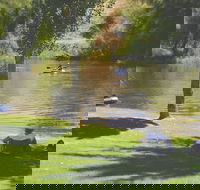 The Lions Junction Park - Tumut - Attractions