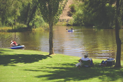 The Lions Junction Park - Tumut - Attractions 0