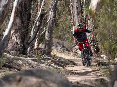 Thredbo Valley Track - Attractions 2