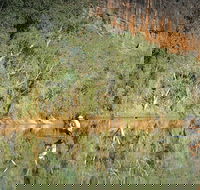 Time Walk Windjana Gorge National Park - Attractions