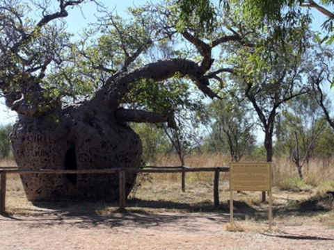 Time Walk, Windjana Gorge National Park - Attractions 2