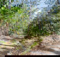 Tip to Tail Trail - Attractions