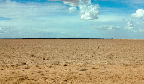 Toorale National Park - Attractions 0