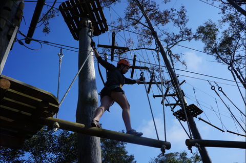Trees Adventure Nowra Park - Attractions 0