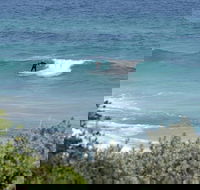 Trigg Island Beach - Attractions