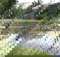 Tumut Wetlands - Attractions