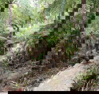 Upper Yarra Reservoir Park - Attractions