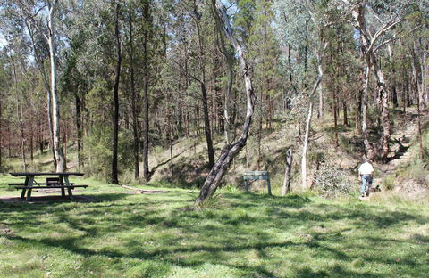 Wallaby Walking Track - See Attractions 0