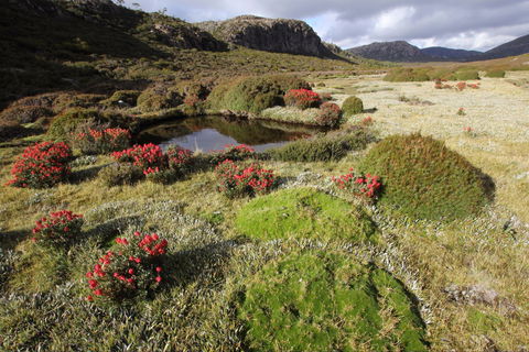 Walls Of Jerusalem National Park - Attractions 1