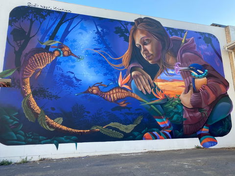 Walk The Walls Cronulla Street Art Trail - See Attractions 0