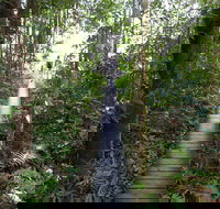 Walker Creek - Attractions Las Vegas