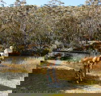 Wild Valley Art Park - Attractions