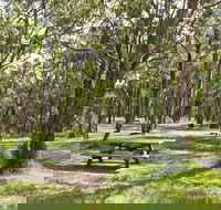 Wollomombi Gorge and Falls Picnic Area - Attractions