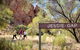 Yeperenye / Emily And Jessie Gaps Nature Park - thumb 1