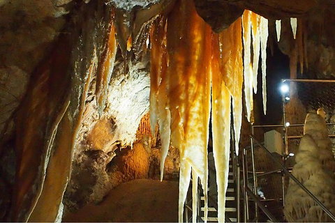 Jenolan Caves: Orient Cave Tour - Attractions 3