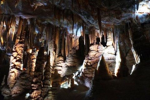 Jenolan Caves: Orient Cave Tour - Attractions 2