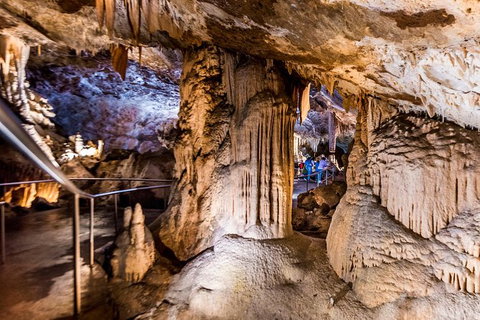 Jenolan Caves: Lucas Cave Tour - Attractions 2