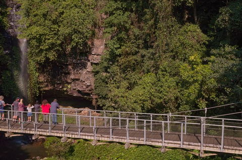 Rainforest & Waterfall Experience - Attractions 4