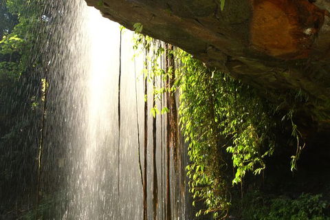 Rainforest & Waterfall Experience - Attractions 9