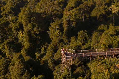 Rainforest & Waterfall Experience - Attractions 5