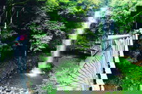 Rainforest  Waterfall Experience