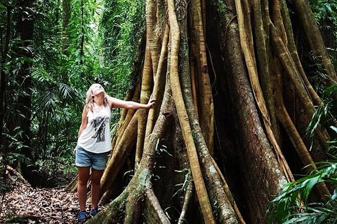 Rainforest & Waterfall Experience - Attractions 3