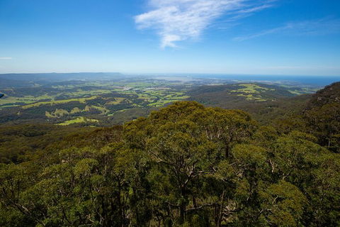 Illawarra Fly Treetop Adventures Treetop Walk Admission Ticket - See Attractions 6