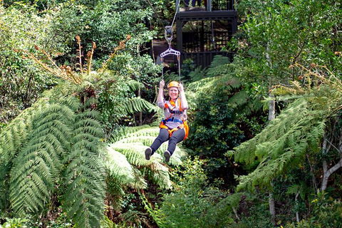 Illawarra Fly Treetop Adventures Treetop Walk Admission Ticket - See Attractions 2