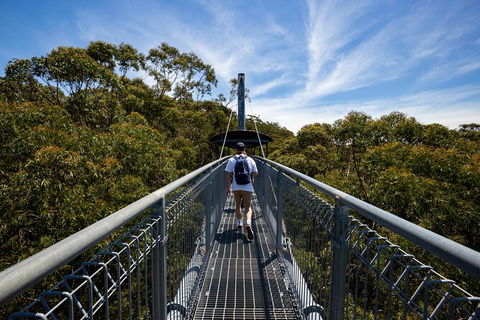 Illawarra Fly Treetop Adventures Treetop Walk Admission Ticket - See Attractions 0