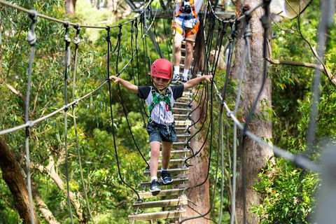 Illawarra Fly Treetop Adventures Treetop Walk Admission Ticket - See Attractions 3