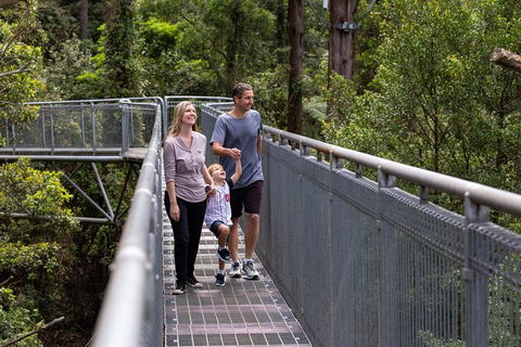Illawarra Fly Treetop Adventures Treetop Walk Admission Ticket - See Attractions 1