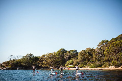Stand Up Paddle Board Hire - 2 Hours - Attractions 2
