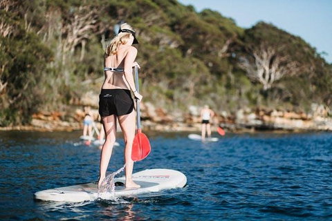 Stand Up Paddle Board Hire - 2 Hours - Attractions 3