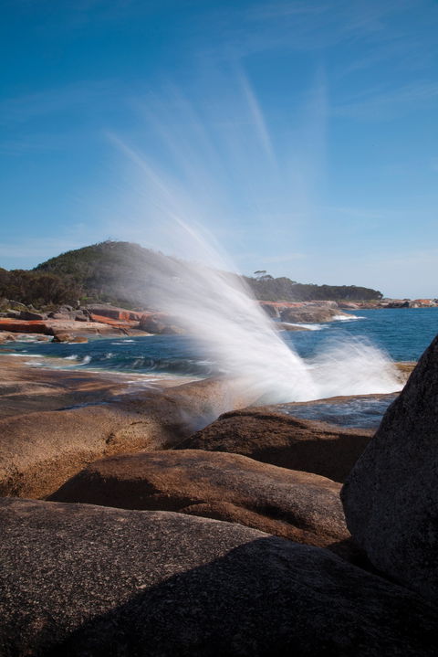 Bicheno Blowhole - Attractions 0
