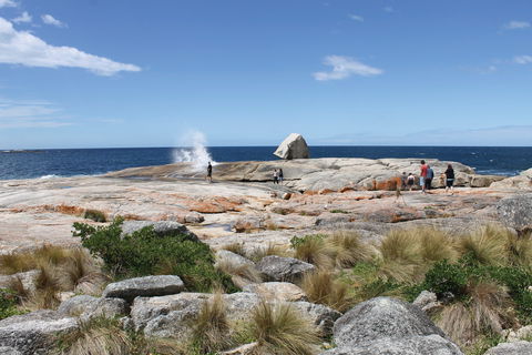 Bicheno Blowhole - Attractions 1