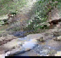 Bomaderry Creek Regional Park - Attractions