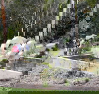 Maroochy Regional Bushland Botanic Garden - Attractions