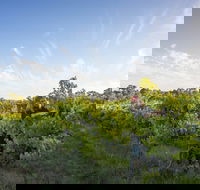Mclaren Vale - Attractions