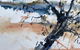 Sandra Blackburne Art Studio And Gallery - thumb 2