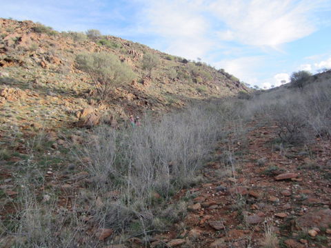 Sundown Nature Trail - Attractions 2