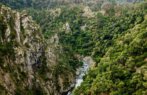 Tiara Walking Track - Attractions 0