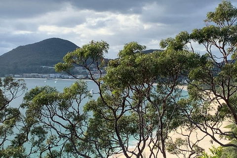 Newcastle Airport To The Tomaree Peninsula. - Attractions 0