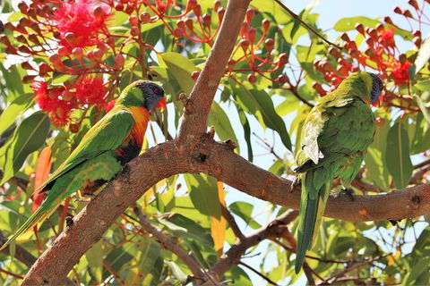 Half Day Manly Beach And More - Attractions 10