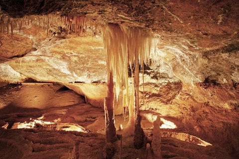 Jenolan Caves: Ribbon Cave Tour - Attractions 0