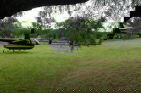 Book Pokolbin Accommodation Vacations Attractions Attractions